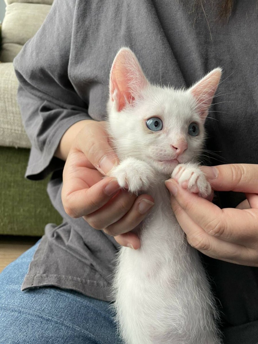 【懐かしシリーズ】生まれたてのテトくん