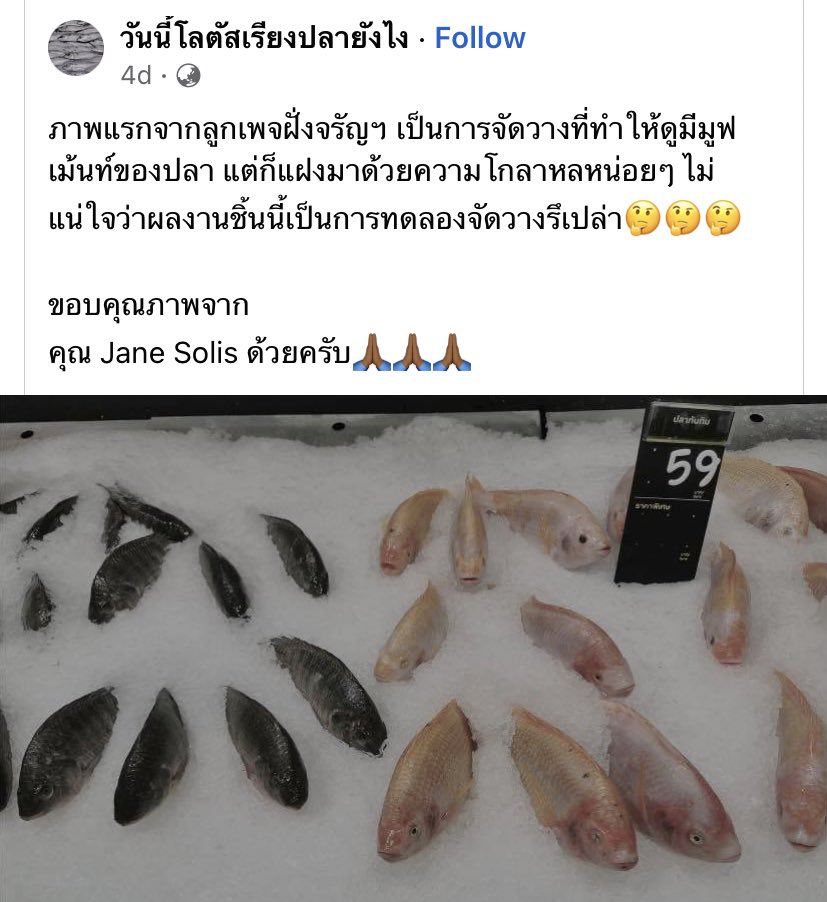 _shyunnie's tweet photo. พึ่งเคยเจอเพจอะไรแบบนี้5555555555555 สนุกอ่ะ เหมียนปลากำลังว่ายน้าม การไปซื้อของที่โลตัสจะไม่เหมือนเดิมอีกต่อปัย https://t.co/DOguKr6ch1