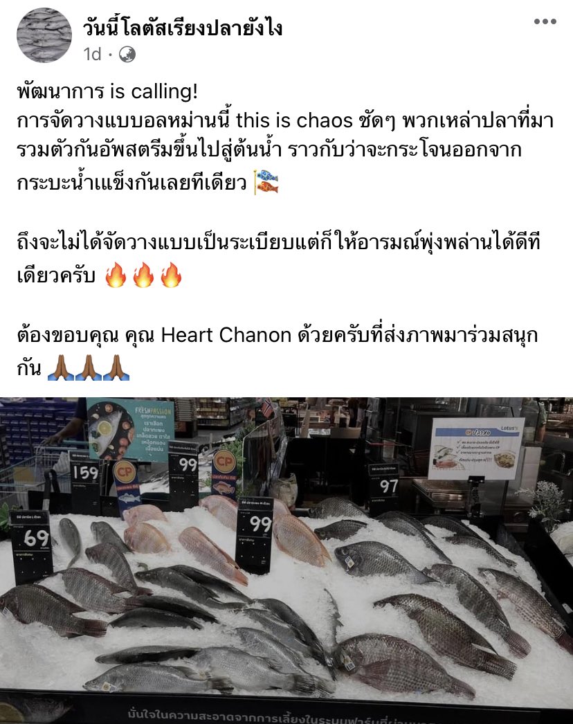 _shyunnie's tweet photo. พึ่งเคยเจอเพจอะไรแบบนี้5555555555555 สนุกอ่ะ เหมียนปลากำลังว่ายน้าม การไปซื้อของที่โลตัสจะไม่เหมือนเดิมอีกต่อปัย https://t.co/DOguKr6ch1