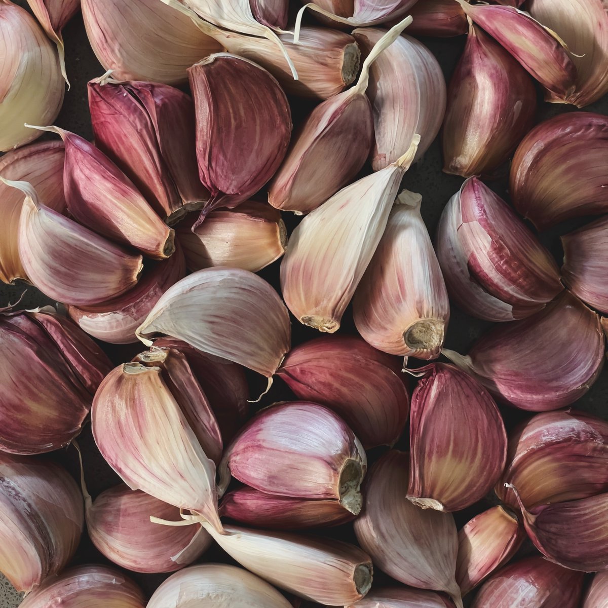 bocavistalife's tweet photo. Got the Kavorka, lure of the animal? Garlic is on sale in the store! ๐ง
#seinfeld #delbocavista #visitdelbocavista #seinfeldmeme #seinfeldmemes #seinfeldfans #seinfeldfan #florida https://t.co/oMQtfLSDe8