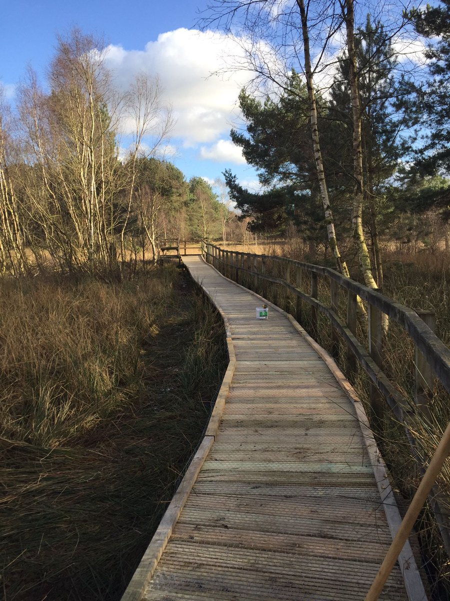 Thank you to our 2,100 hardworking volunteers 💚 

They help create wonderful spaces for people and wildlife on our #NationalNatureReserves and support nature conservation work 🦇

Find out more: gov.uk/guidance/volun… 
#VolunteersWeek