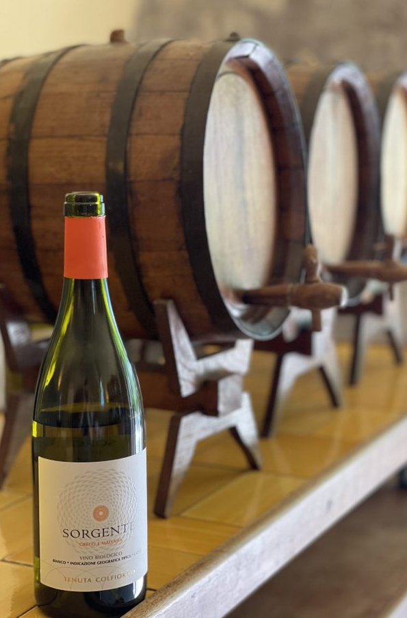 Check out this Tenuta Colfiorito Sorgente 2018! 🥂🍷

This white wine was made by a combination of Greco and Malvasia grapes in the Lazio Region of Italy!🇮🇹🍇

Head to our website if you would like to check out this wine for yourself.🖥

bit.ly/3Hn58Hn