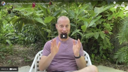 What Is Happening In The Back Leg In Triangle Pose? - is.gd/P5vC8G #yogaanatomy #yogatechnique