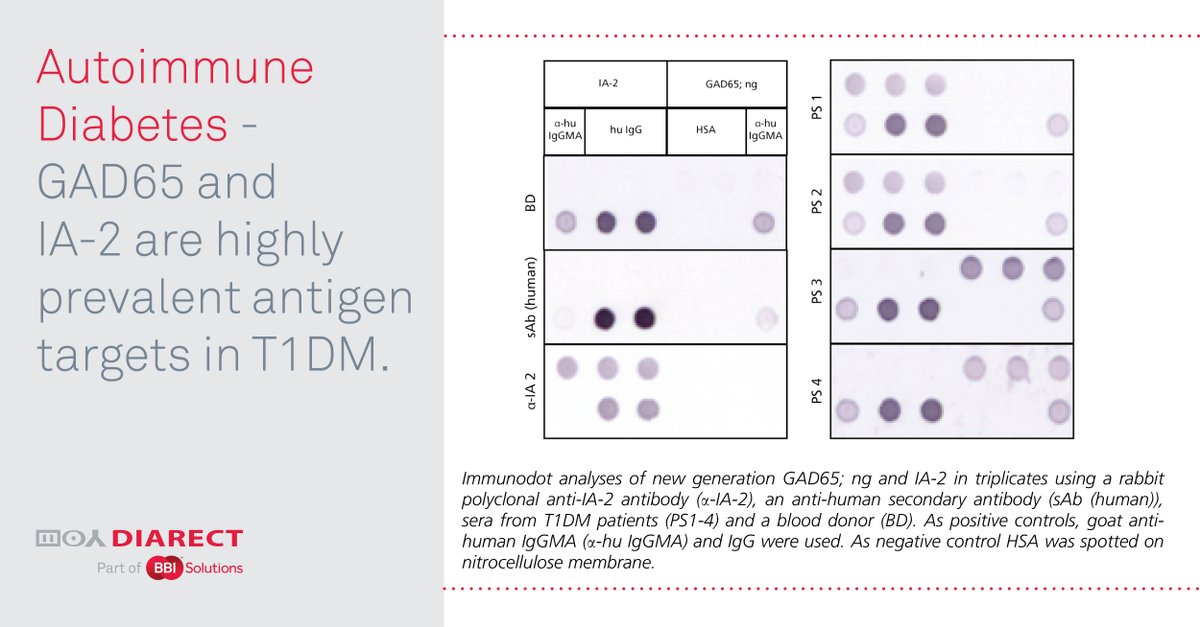 BioTez's tweet photo. To discover more, please visit our website to download your copy of the autoimmune diabetes brochure. https://t.co/4wTM22AAOV
To discover more about our other Diabetes related products please visit:
https://t.co/dDZsaYLcSg
https://t.co/bxrkAdS5Pb https://t.co/mOeDWlAjeu