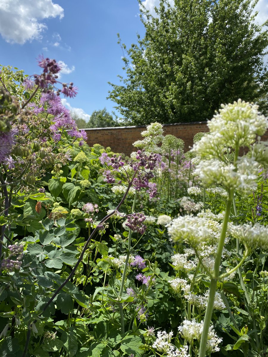 familyhistorysh's tweet photo. The OU memorial garden on a beautiful sunny day… https://t.co/EDLDyLEDiR