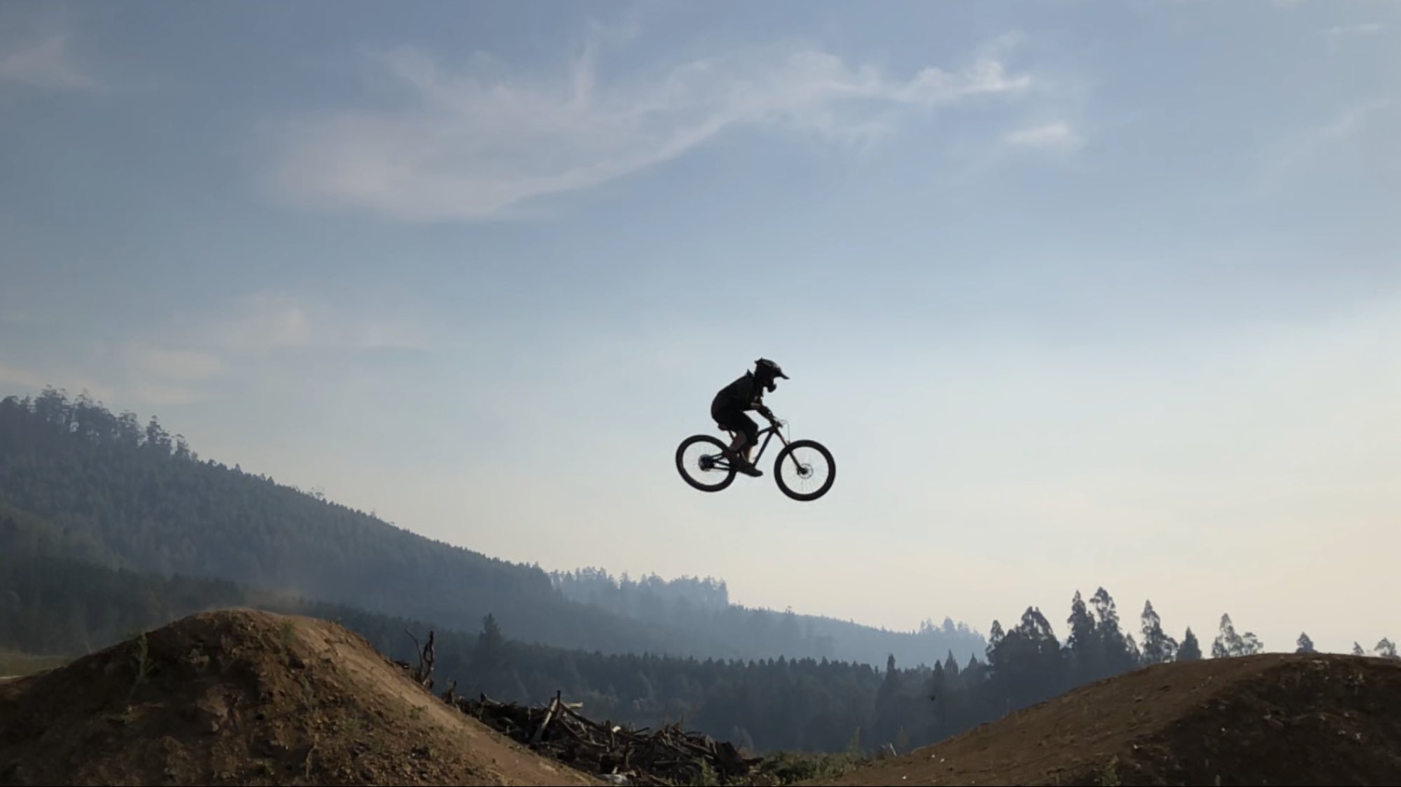 Terri Irwin (@TerriIrwin) / Twitter