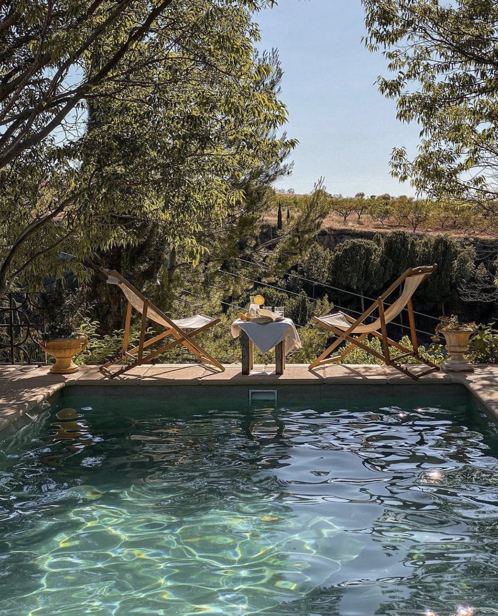 tmbIrpics's tweet photo. To be here right now 🌞 🍃 https://t.co/osQpT4lzpk