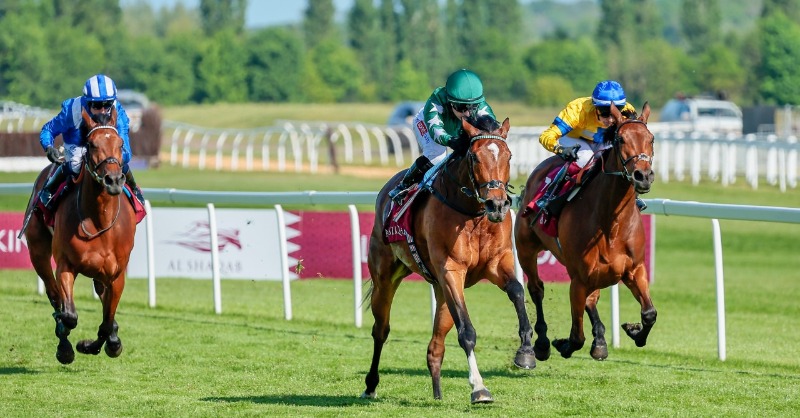 RacingPost's tweet photo. Epsom Oaks third Nashwa is set for a drop in trip and a possible tilt at the Prix de Diane after she came up short in her first attempt at a mile and a half in the Classic last Friday