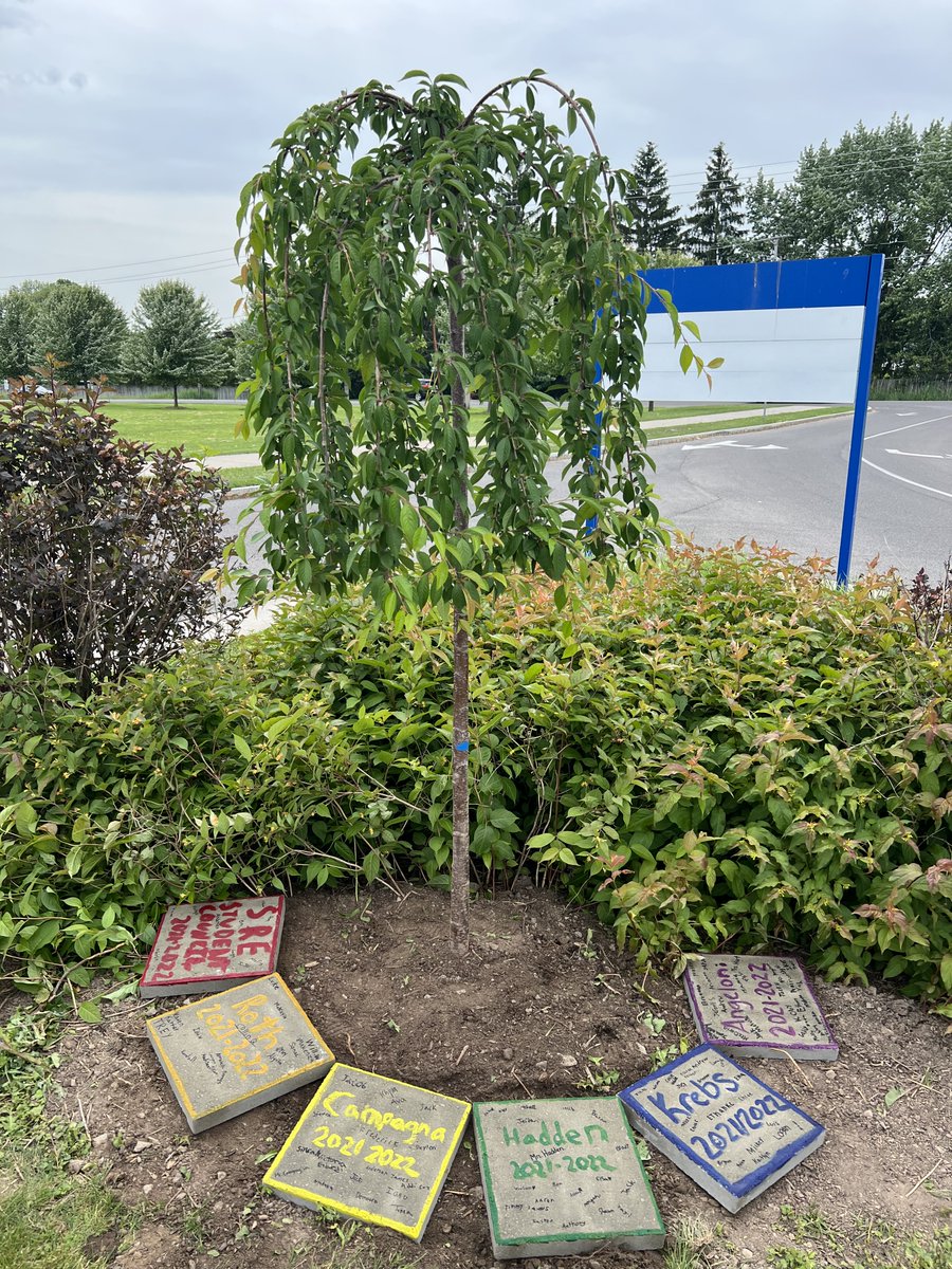 MrKilian_SRE's tweet image. SRE Student Council planting a tree as a parting gift from our 5th and 6th graders moving up to SRM!! #SRECommunity