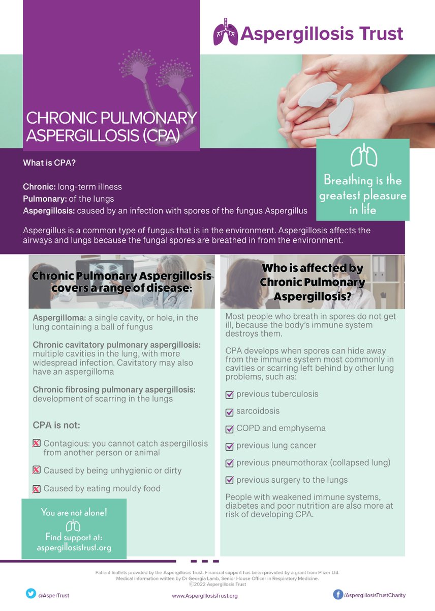 Aspergillosis Trust tweet media