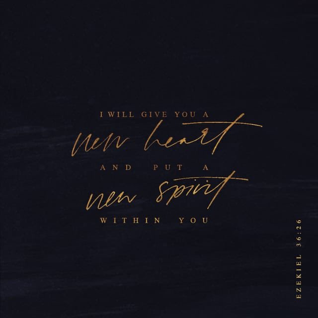 Cheresa81's tweet photo. My God will continually give me a new heart and a new story 🙌🏾💞 #NewMe https://t.co/FN51NBR2lf https://t.co/4U9S8CBGxb