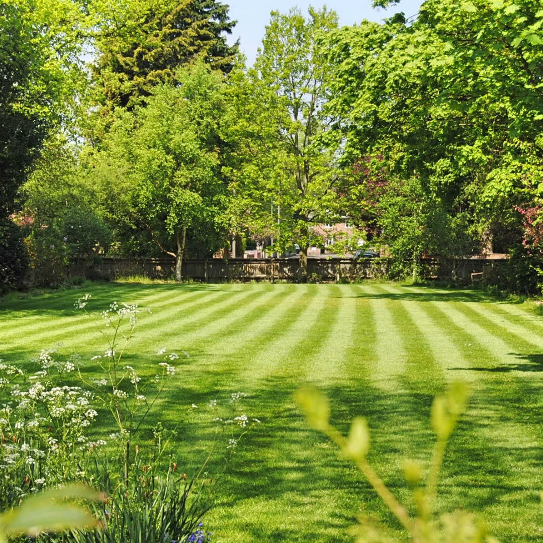LawnAssociation's tweet photo. Thank you @womentalking1 for featuring the Lawn Association in your eco garden tips in June! Check it out now!
https://t.co/H3sfnAu1oh
#lawncare #lawns #lawn #lawnassociation #ecogarden #junegarden #gardening #gardeners #flowers #tips #womentalking #truegardenrange https://t.co/p4M5GMJwVX