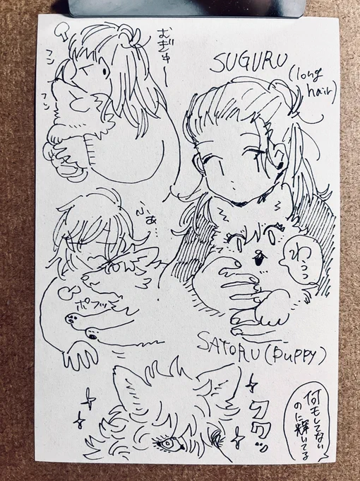 すぐ〜 