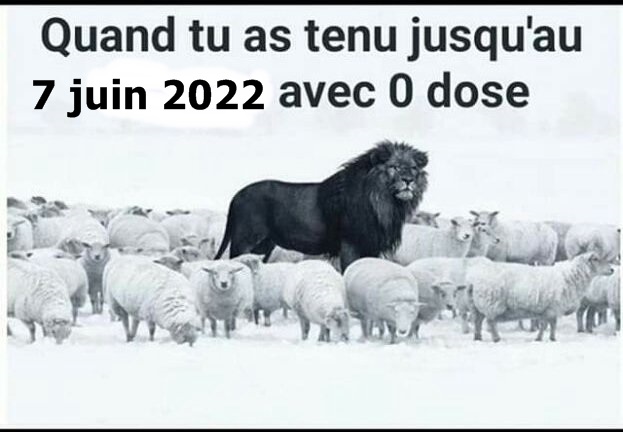 pavyfabin's tweet photo. Et vous ? https://t.co/4YvB9httDq