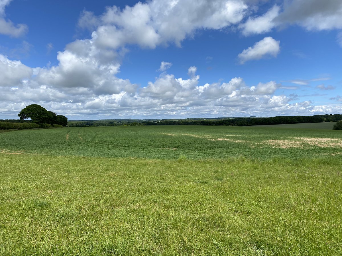 Out and about on farm today, hosting <a href="/DefraGovUK/">Defra UK</a> colleagues at Newhouse Farm with <a href="/AndyBason/">Andy Bason</a> talking all things #IFM #ResilientandReady #farmingtransition <a href="/LEAF_Farming/">LEAF</a> <a href="/CortevaUK/">Corteva UK</a> 

Great to have good discussion on opportunities, challenges and next steps ☀️ 🌾