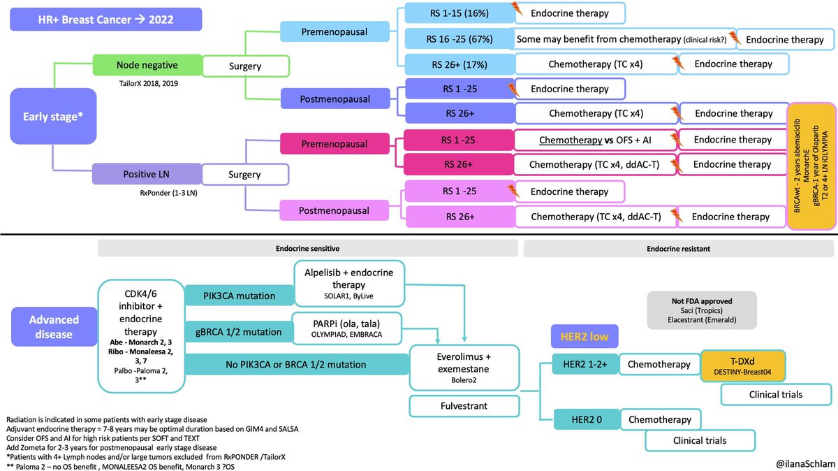 IlanaSchlam's tweet photo. Wrapping up #ASCO22 and thinking how to incorporate the practice changing research presented here 🟠. HER2 low will change the way we think about 50% of our metastatic patients. What are you doing Wednesday morning? @DrSGraff @stolaney1 @DrGattiMays @ErikaHamilton9 @OncoAlert https://t.co/wWzgEtEq5K