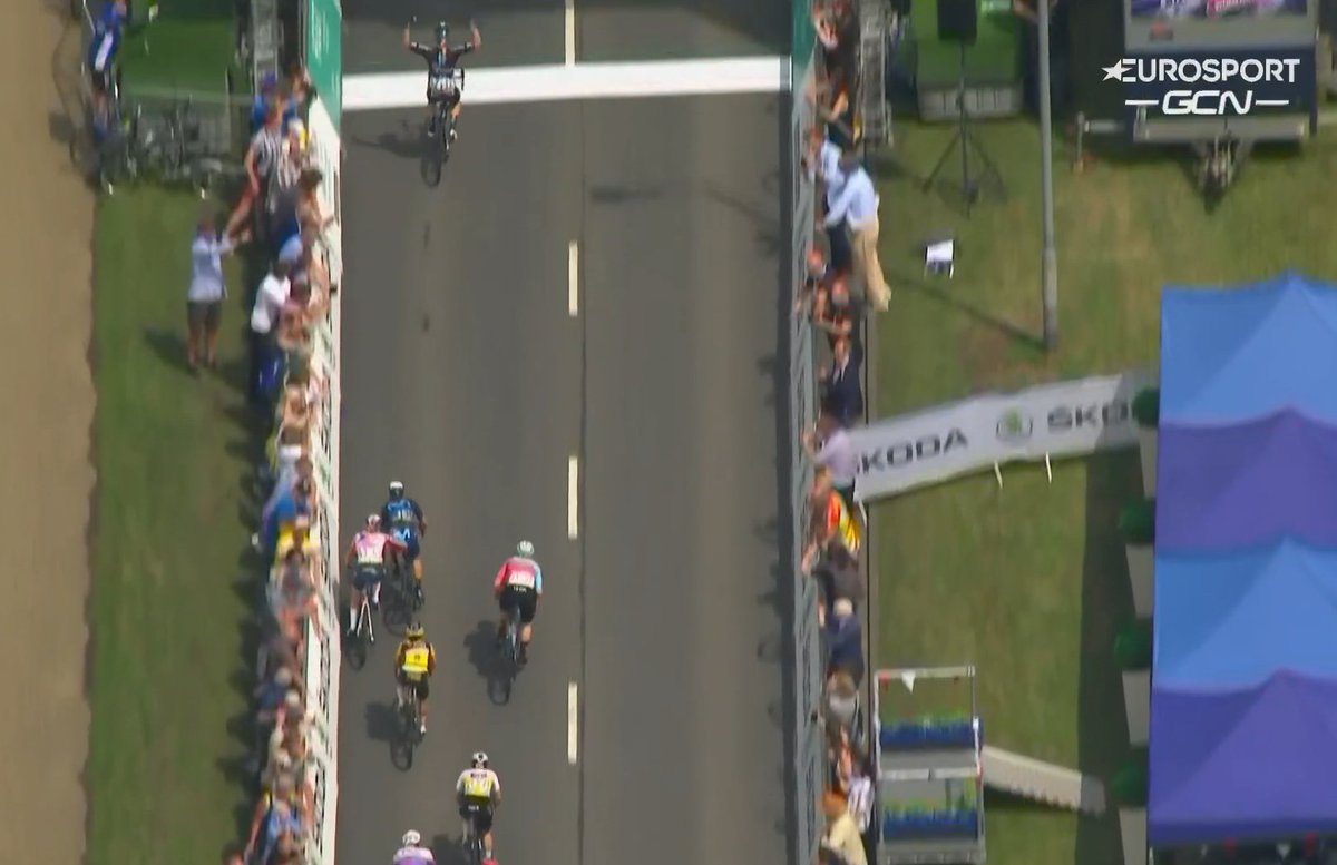 Mathew Mitchell tweet media