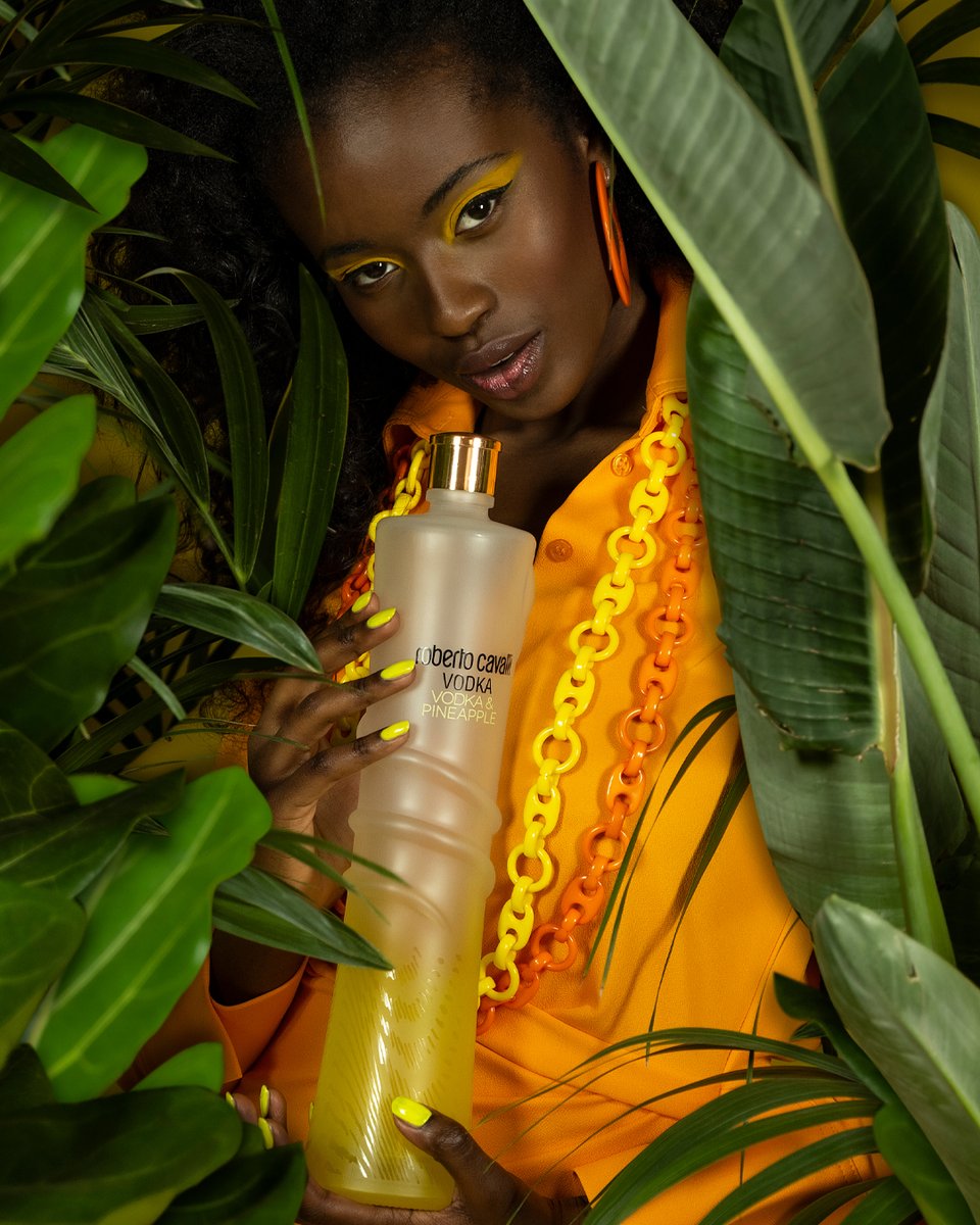 RCavalli_Vodka's tweet photo. Delicate and juicy, Roberto Cavalli Vodka Pineapple carries with every sip to a tropical paradise.

#robertocavallivodka #rcavallivodka #robertocavalli #vodka #premiumvodka #italianvodka #luxury #flavoredvodka #pineapplevodka #rcvpineapple #rcvnewera #misspineapple https://t.co/IPE783bDGn