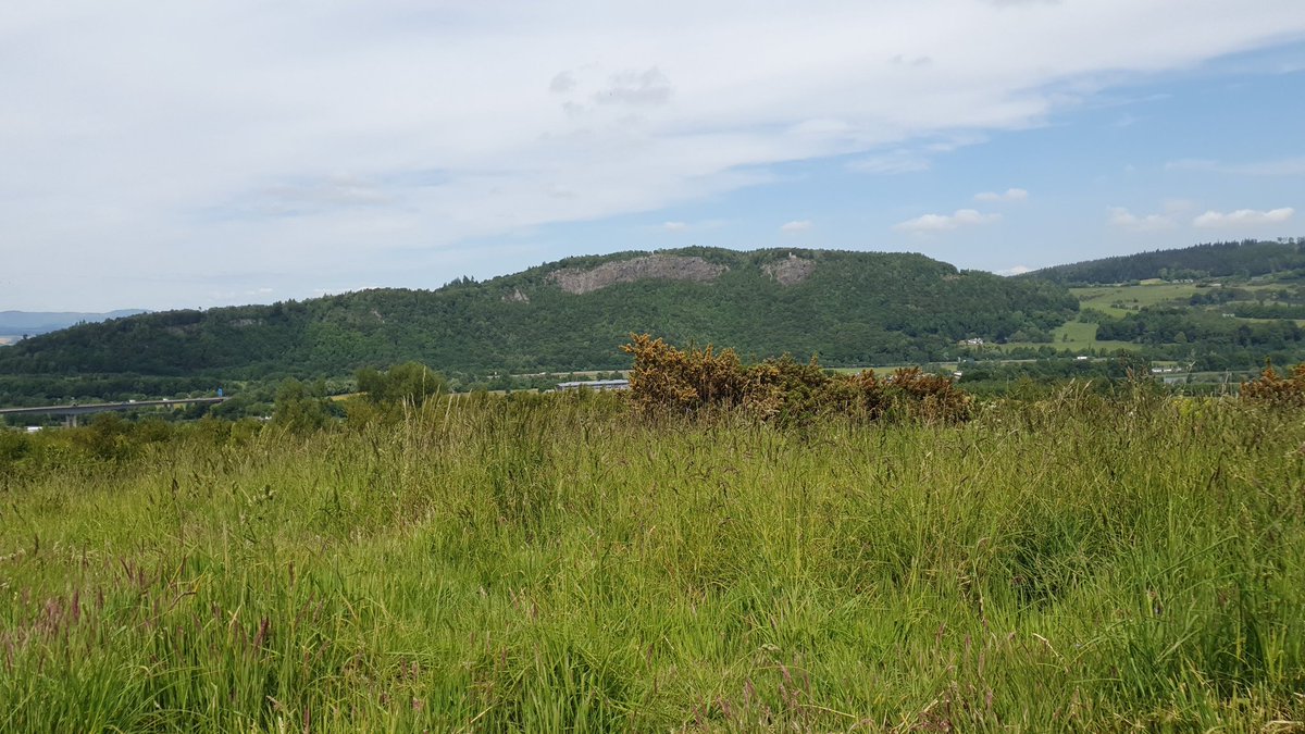 Mat7392's tweet image. 