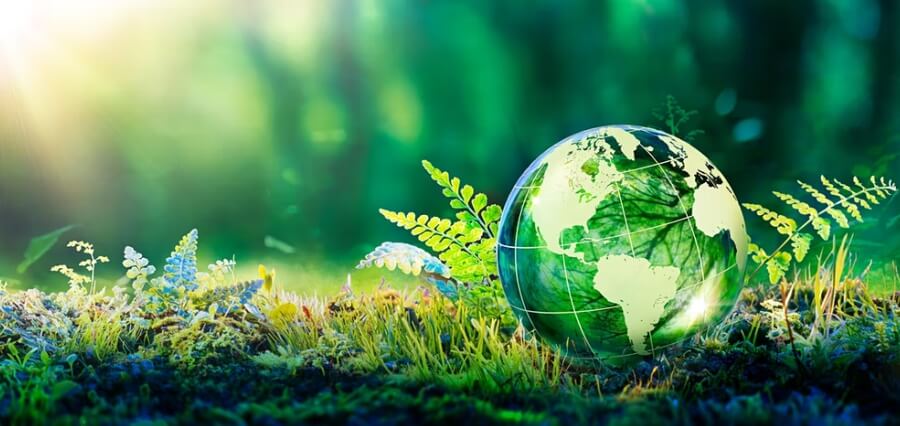 theknowledgerv's tweet image. The young #students get quickly affected by the harmful effects of #pollution through sudden fatigue, headaches, nausea, increasing tendency to catch colds and coughs.

Read More: tinyurl.com/28u28bv4 

#PollutionEffects #AirPollutionEffectsStudentHealth