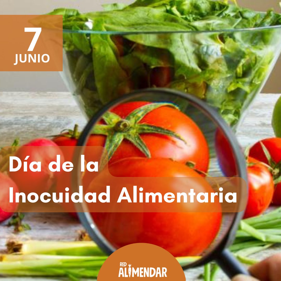 RedAlimendar's tweet photo. #Respeto #Cuidado #Alimentos #Personas 
El Día Mundial de la Inocuidad de los Alimentos, que celebramos el 7 de junio, tiene como objetivo crear conciencia e inspirar acciones para ayudar a prevenir, detectar y gestionar los riesgos transmitidos por los alimentos. https://t.co/KuUV5VB8NW