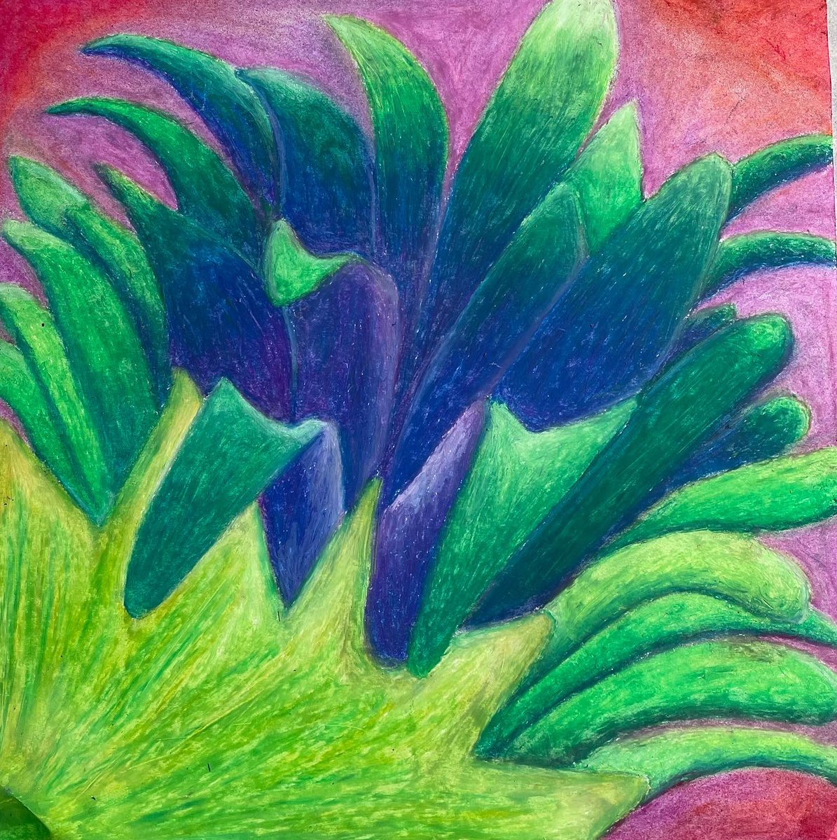 dcs_visual_art's tweet photo. Foundations kids learned about Georgia O’Keeffe and oil pastels and paired that knowledge with an observational oil pastel flower lesson. #oilpastel #georgiaokeeffe #art #artteacher #foundationsofart #highschoolart #observationaldrawing https://t.co/jfyLFLskvI