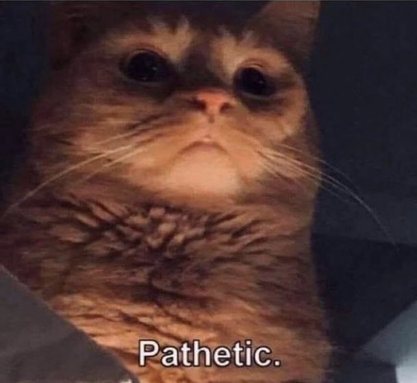 IceCactiTea's tweet photo. Polonius whenever Ophelia tried to talk in the OCR a level english literature exam this morning: #greengirl https://t.co/z8gBYrN5iD