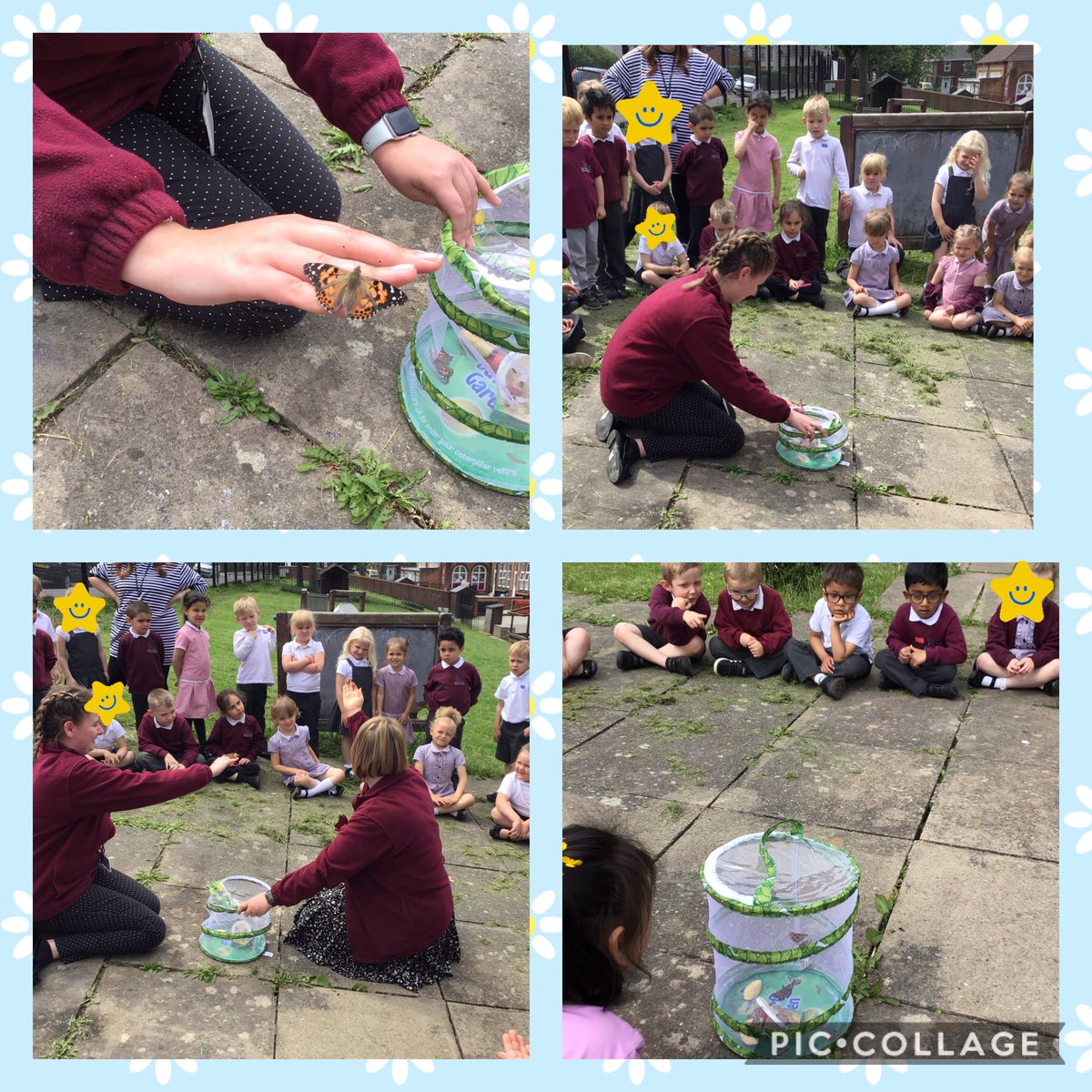 MissMalcolmHB's tweet photo. We had so much fun releasing our butterflies this afternoon 🦋 @MrsDouglashb @hb_misssimpson @HBMrsFeetham @MrsSpencerhb @HartleyBrookPri https://t.co/2HQOuv3DbP