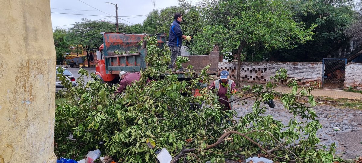 AsuDgrrd's tweet image. Equipo DGGRRD realiza Recolección en barrio Obrero calle 14 de Mayo y Avda. Chiang Kai Shek.