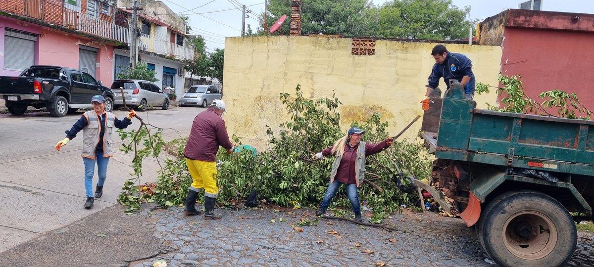 AsuDgrrd's tweet image. Equipo DGGRRD realiza Recolección en barrio Obrero calle 14 de Mayo y Avda. Chiang Kai Shek.