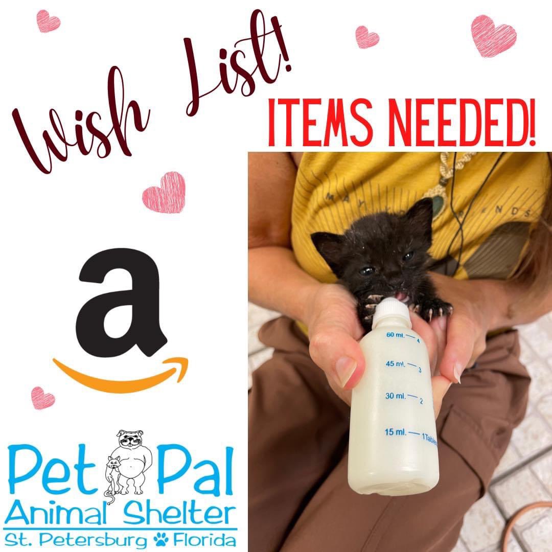 Pet Pal Shelter (@PetPalStPete) / Twitter Pet Pal Shelter (@PetPalStPete) / Twitter