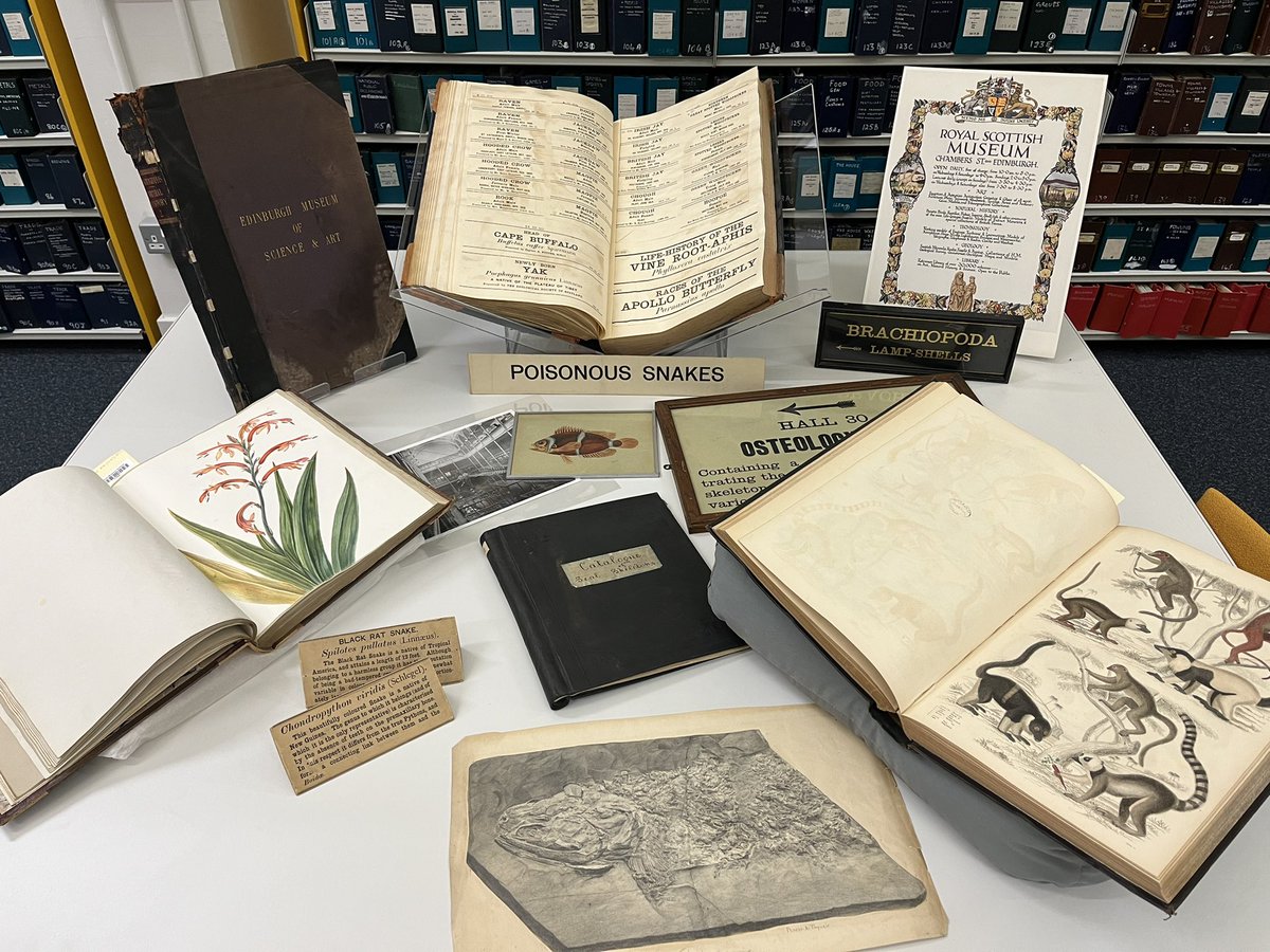 Having fun in our library stores looking out some goodies for the  #SPNHC2022 visit on Thursday. We look forwards to seeing you!