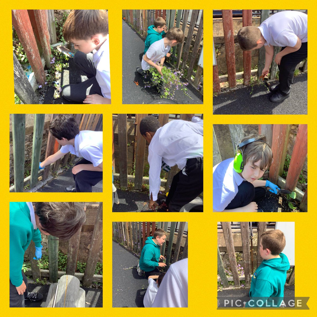 FforddDyffryn's tweet photo. Dosbarth Siabod making the most of the sunshine this afternoon and looking after our outdoor area & keeping our insects safe #Ourbigquestion #ethical #healthy #summertime @Keep_Wales_Tidy @GCynradd @30DaysWild π©βπΎπͺ΄πΈπ·π https://t.co/OnYGDAVEQy