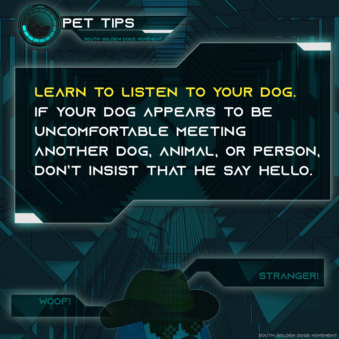 South Golden Dogs Movement tweet media