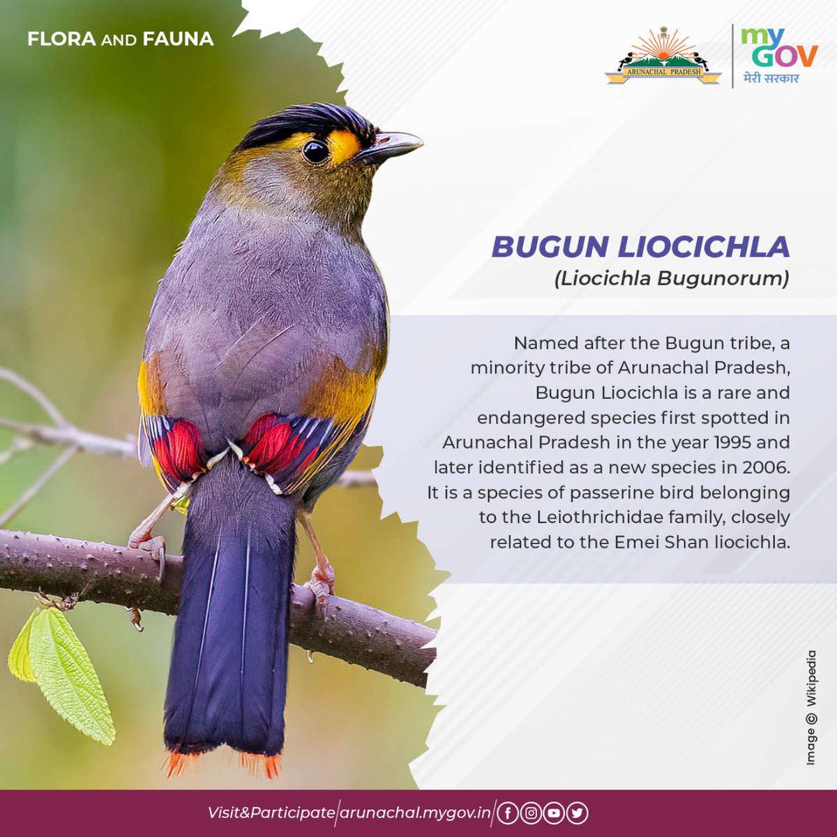 MyGov Arunachal Pradesh tweet media