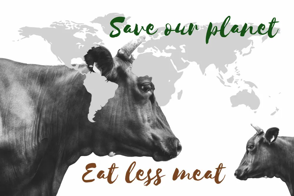 TUCOltd's tweet photo. More than 1/4 of the people in the UK are considering reducing the amount of meat they eat - with health &amp; climate change being given as the main motivations. For respondents under 34 yrs old, climate change was a strong motivator, at almost 50%. #lessmeat #climatechange https://t.co/YEl2hVMEFA