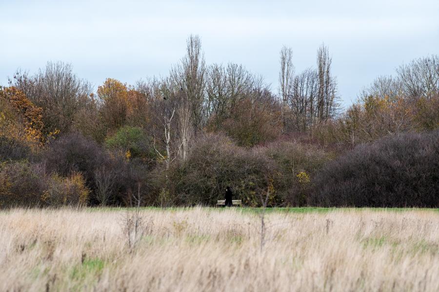 We'd like your thoughts on Wormwood Scrubs open space, by completing a short survey.

We are consulting H&amp;F residents to hear how you think the space can benefit the people, plants and animals of the #W12 area.

It should only take 15 minutes to complete: app.upshot.org.uk/survey/598b7fd…