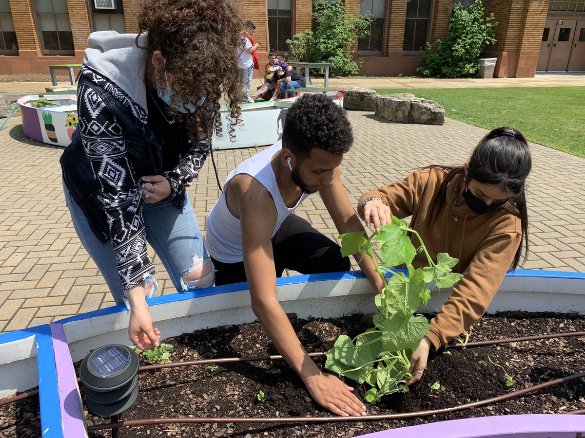 MsJJoung's tweet photo. Concluding our Groups 4 project by transplanting the plant from our water tower to the garden outside of @CarlSchurzHS https://t.co/iDD691Pbqx