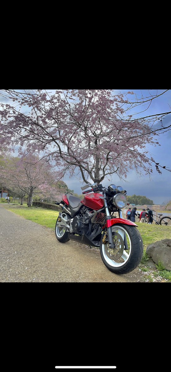 mussa_Honet250's tweet photo. 1日でも早く乗りたいな、🐝

 #ホーネット250  #バイク好きと繋がりたい  #バイクのある生活  #バイクのある風景 https://t.co/YI3JZxk9Qa