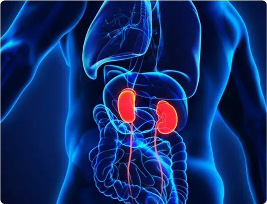 UrologyCongress's tweet photo. Welcome to Annual Nephrology 2022
Submit Your Abstract and join now
https://t.co/DdjcoVH7ay
#nephrologyconference, #urologyconference, #cmeconference, #kidneyconference https://t.co/skfLiO4lr7