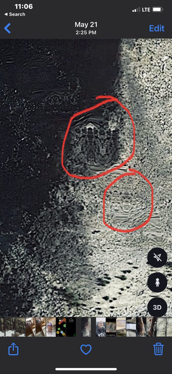 jeremyclaunch1's tweet image. Giant with sabertooth tiger helmet