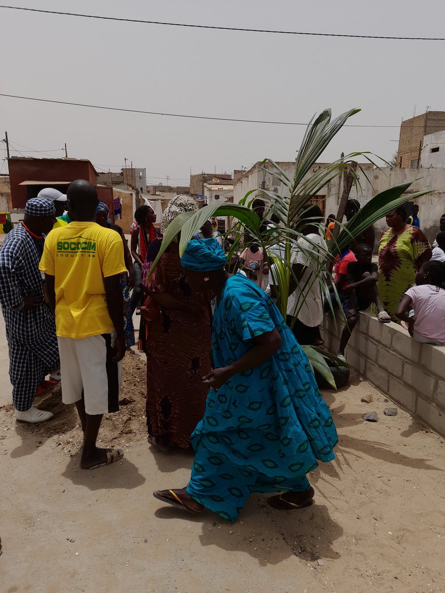 Xr Sénégal tweet media