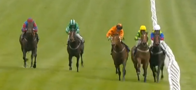 club_irc's tweet photo. UNLUCKY TODAY!
Doc Sportello carried across the track and almost over the rail by the winner, Jackmeister Rudi, in the 2pm at Brighton. A very good third, considering Mollie Phillips did well just to stay on! #docsportello #ircrunners #clubirc #molliephillips https://t.co/eXYlQcqEqx