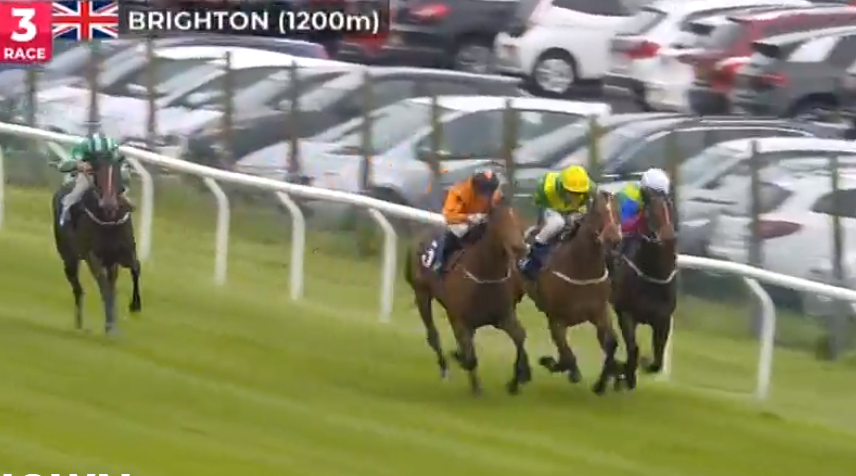 club_irc's tweet photo. UNLUCKY TODAY!
Doc Sportello carried across the track and almost over the rail by the winner, Jackmeister Rudi, in the 2pm at Brighton. A very good third, considering Mollie Phillips did well just to stay on! #docsportello #ircrunners #clubirc #molliephillips https://t.co/eXYlQcqEqx