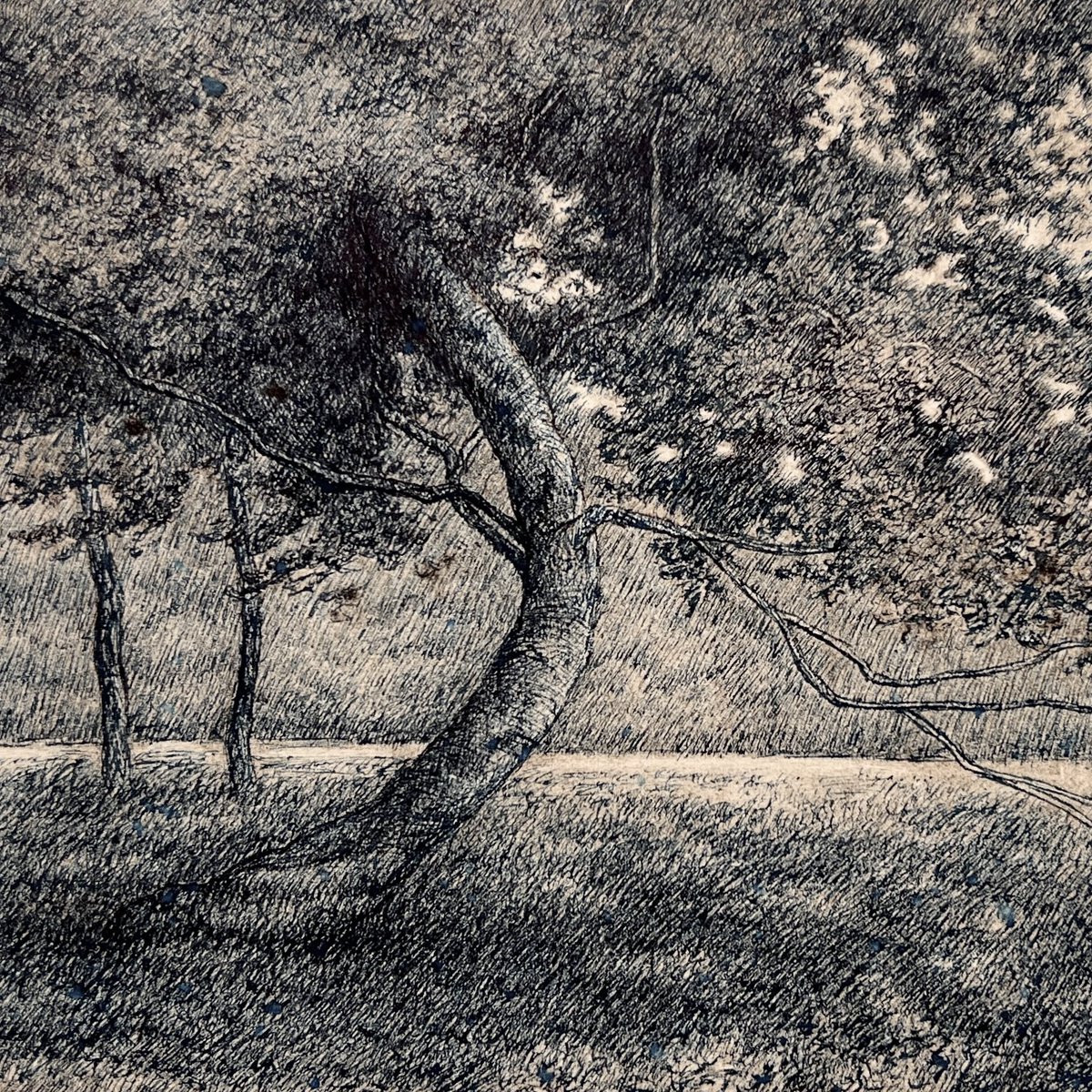 LuisColanArt's tweet photo. “Arbol Doblado II”, 2022, pen and ink over monotype ghost print, on paper, image 6 x 8 inches, sheet 8 1/2 x 11 inches.
.
.
.
#fountainpen #pen #penart #ink #monotype #ghostprint #printmaking #drawing #worksonpaper #landscape #nycartist #luiscolan #inkdrawing #inkart #pendrawing https://t.co/d49LQHayVO