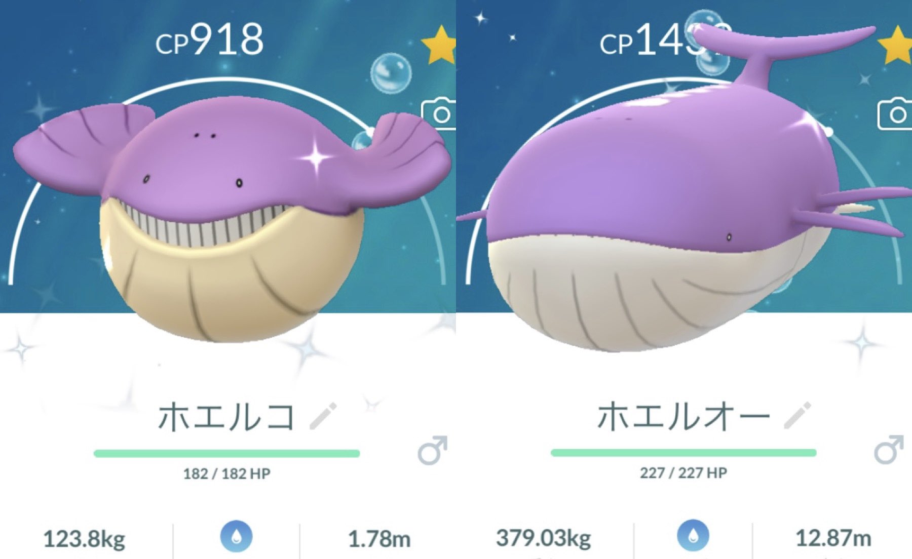 レタス ホエルコとアサナンの色違いは2匹目だったので それぞれ進化させました ポケモンgo 色違い Gofest22 T Co Js7z7wbz9b Twitter