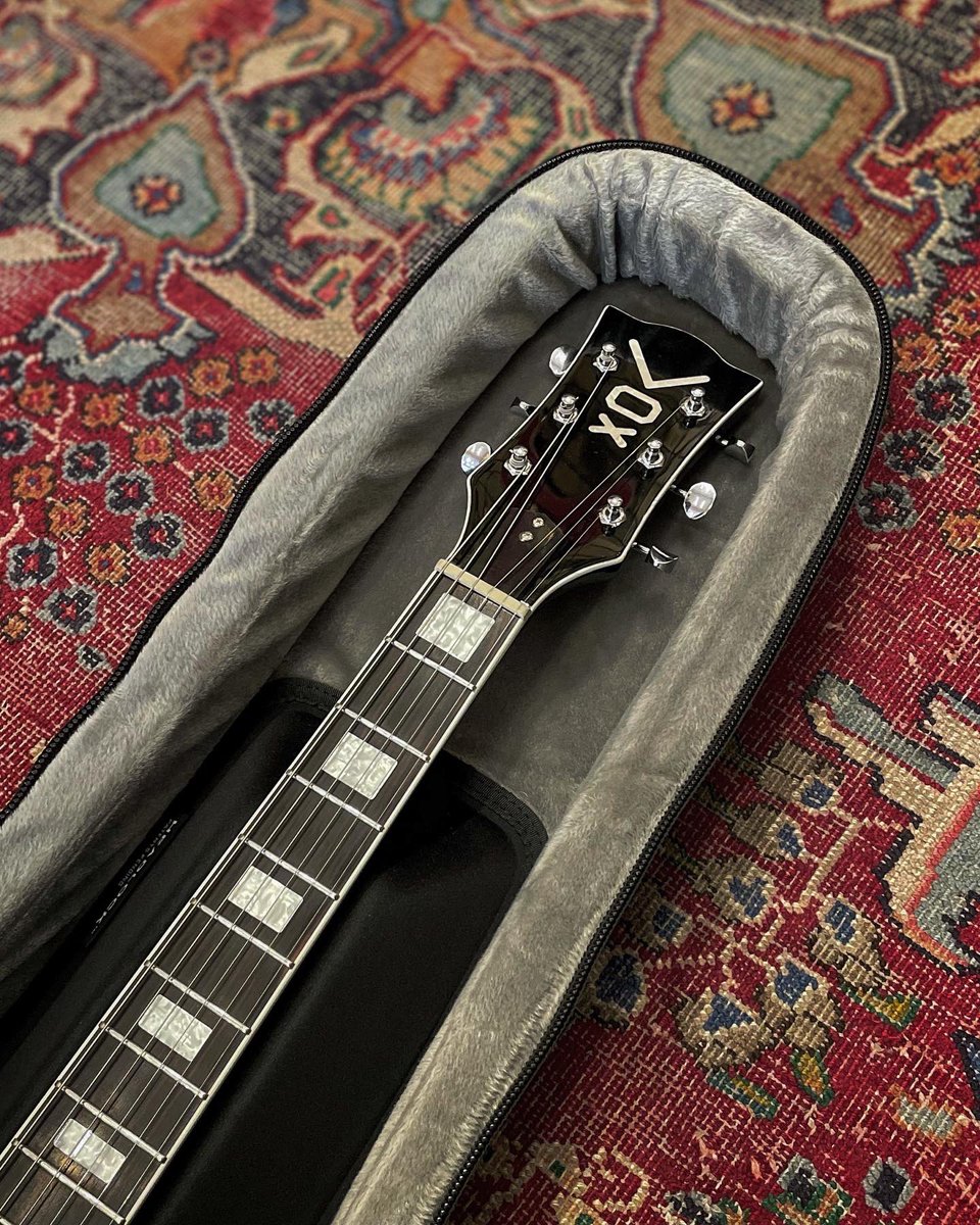 WestsideMI's tweet photo. If you want high-quality protection for your semi-hollow guitar but want to avoid the bulkiness and weight of a hard case, then the @MONOcreators Vertigo Semi-Hollow Guitar Case is the only choice!

#MONOCreators #GoPlay https://t.co/lyhjNLcgkk