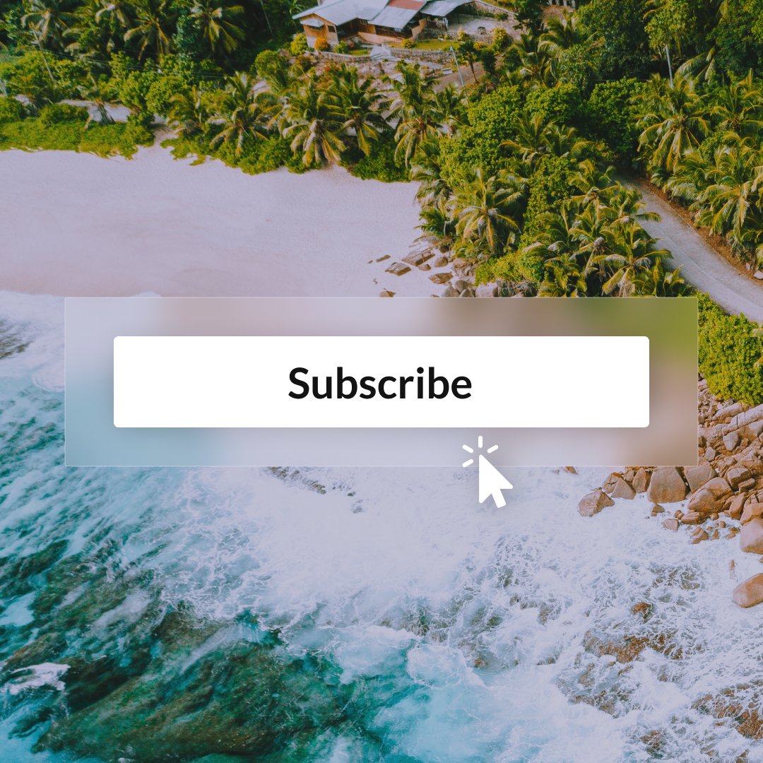 New-new-newsletters! 📨 
There's a lot happening at GVI. Get exclusive offers and program updates right to your inbox, every week. bit.ly/3u7Xuvx