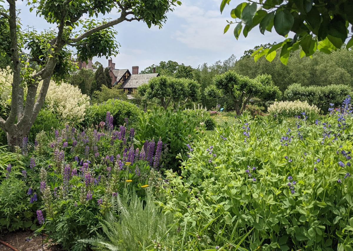stanhywet's tweet photo. We look forward to seeing you on the estate during the busy month of June! https://t.co/e9kZI7DDT9
#FoundersDayWeekend #FathersDayCarShow #VintageDays #StanHywet https://t.co/uocY8YdQd2
