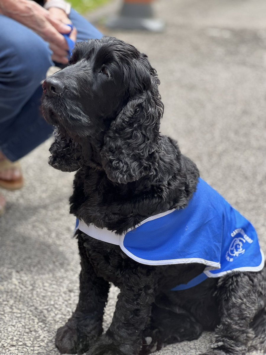 As #VolunteersWeek2022 comes to an end, I got to meet one of our very special four legged @NottsHealthcare volunteers today! Her name is Molly, aged 5 and originally from Australia, she visits our Hopewood site and provides therapy opportunities to our patients! 🐶